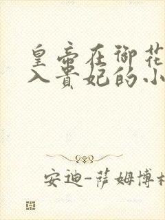 皇帝在御花园进入贵妃的小说