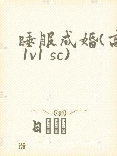 睡服成婚(高h 1v1 sc)
