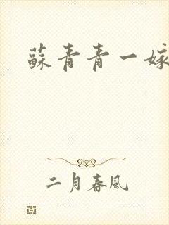 苏青青一嫁三夫