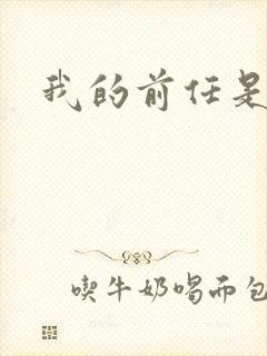 我的前任是极品