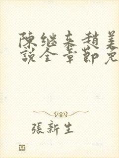 陈继来赵美媛小说全章节免费阅读