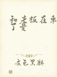 和老板在车里做了爱