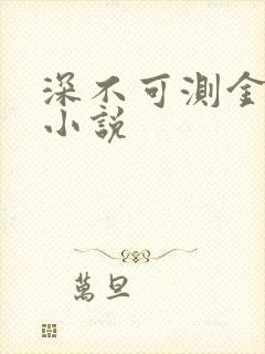 深不可测金银花小说