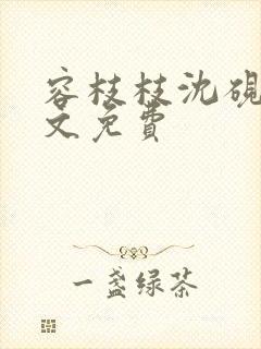 容枝枝沈砚书全文免费