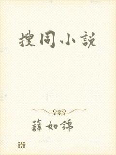 搜同小说