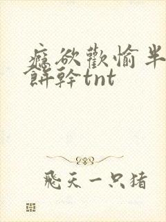 瘾欲欢愉半块小饼干tnt