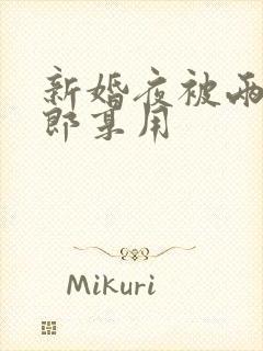 新婚夜被两个伴郎享用