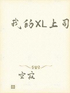 我的XL上司