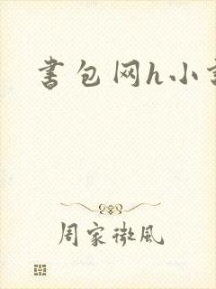 书包网h小说