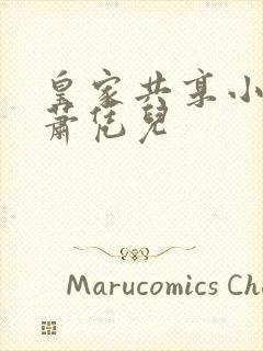 皇家共享小公主萧凭儿