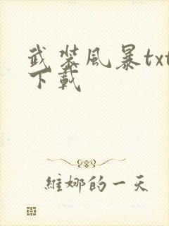 武装风暴txt下载