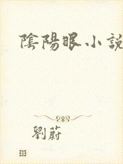 阴阳眼小说