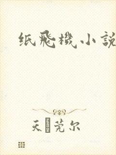 纸飞机小说
