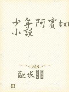 少年阿宾txt小说