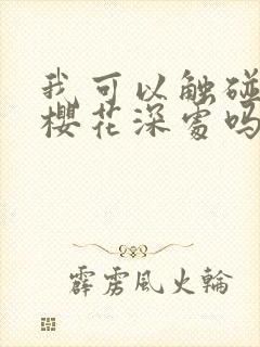 我可以触碰你的樱花深处吗