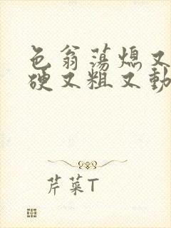 色翁荡熄又大又硬又粗又动态图