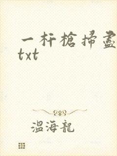 一杆枪扫尽全家txt
