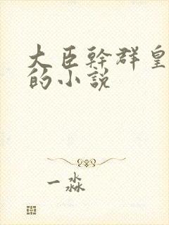 大臣干群皇太后的小说