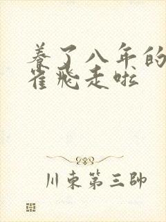 养了八年的金丝雀飞走啦