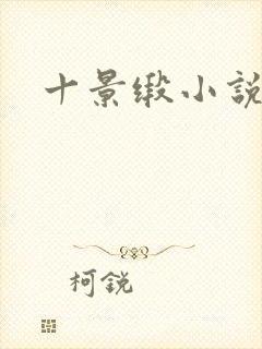 十景缎小说