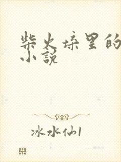 柴火垛里的疯狂小说