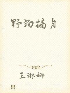野狗摘月