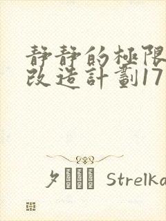 静静的极限自我改造计划17