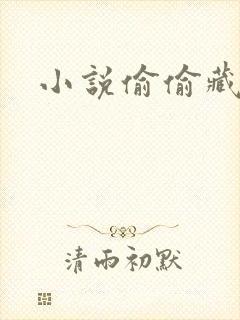 小说偷偷藏不住