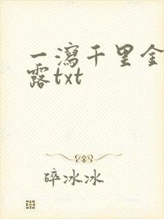 一泻千里金银花露txt