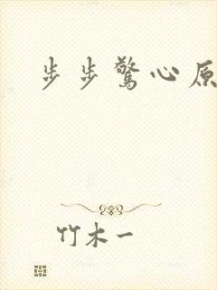 步步惊心原著