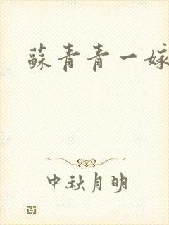 苏青青一嫁三夫