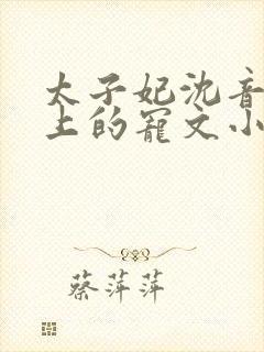 太子妃沈音和皇上的宠文小说