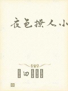 夜色撩人小说