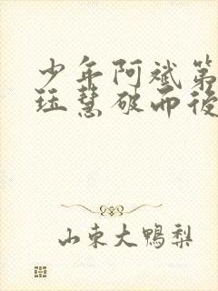 少年阿斌第二部珏慧破而后立