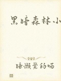 黑暗森林小说