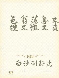 色翁荡息又大又硬又粗又爽小莹