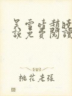 吴雪晴赵晓东小说免费阅读