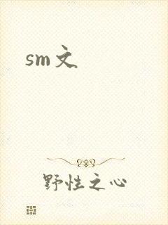 sm文