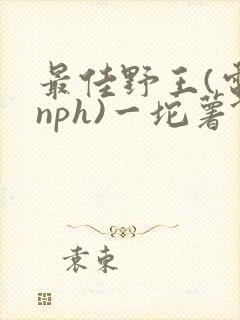 最佳野王(电竞nph)一坨薯饼