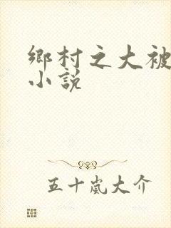 乡村之大被同眠小说