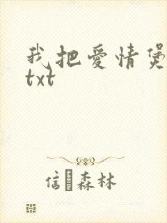 我把爱情煲成汤txt
