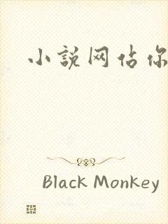 小说网站你懂的