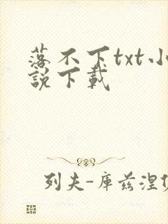 落不下txt小说下载