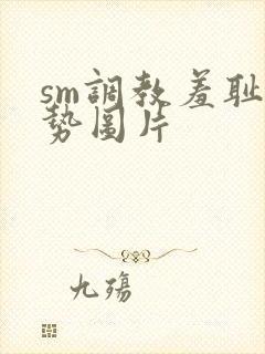 sm调教羞耻姿势图片