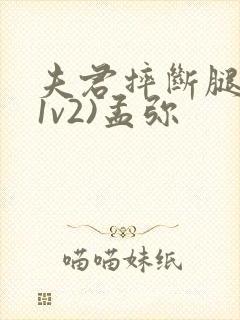 夫君摔断腿后(1v2)孟弥