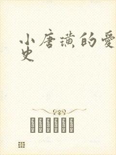 小唐璜的爱情历史