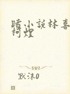 赌小说林喜朝和柯煜