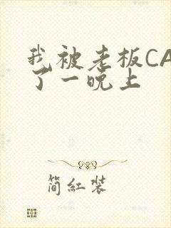 我被老板CAO了一晚上