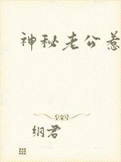 神秘老公惹不起