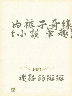 内裤子奇缘txt小说 笔趣阁